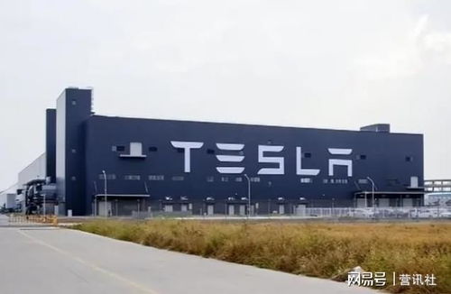 電動車寒流下的號角 特斯拉空頭重集結，悅云科技暗流涌動